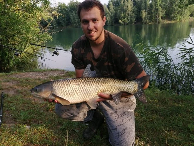 Muž drží velkou rybu amura bílého u jezera