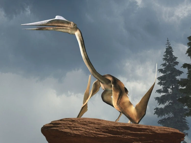 Ilustrace prehistorického létajícího plazu quetzalkoahtlusa na skále.