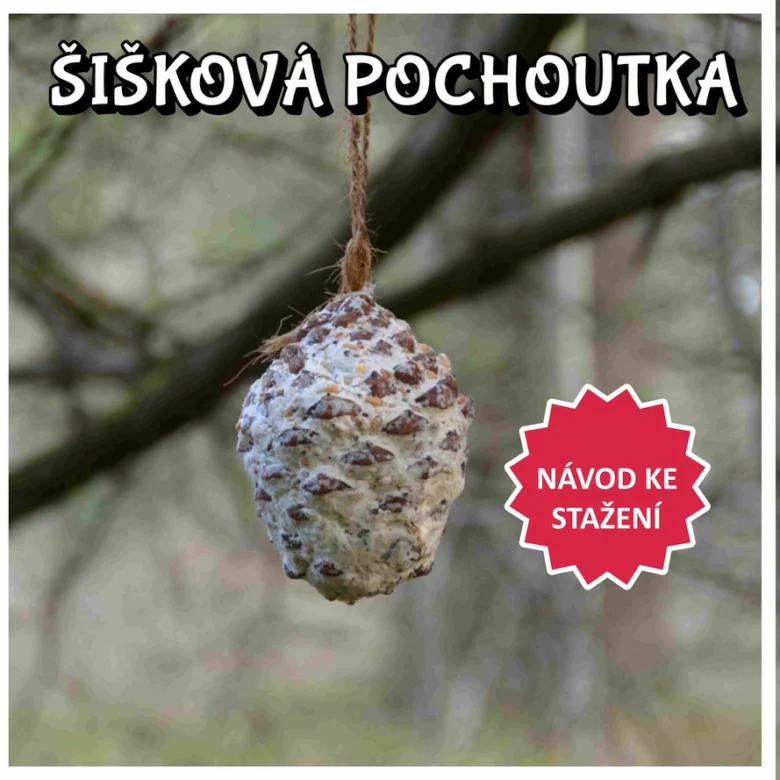 Větrací šiška s tukem pro ptáky v zimě.