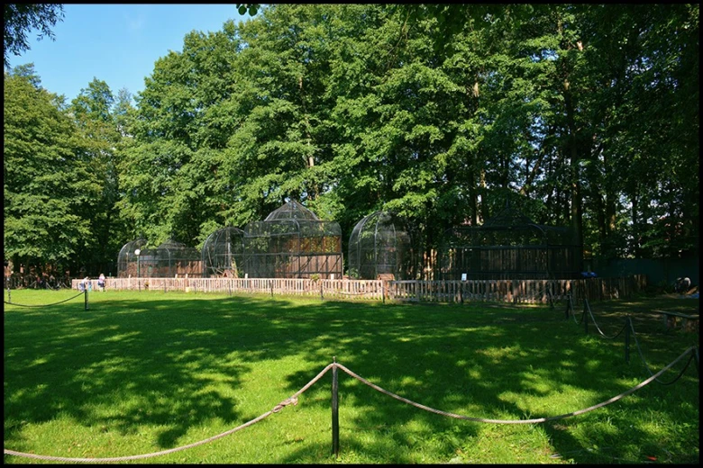 Zoo Doksy: skleněné výběhy zvířat v lesním prostředí.