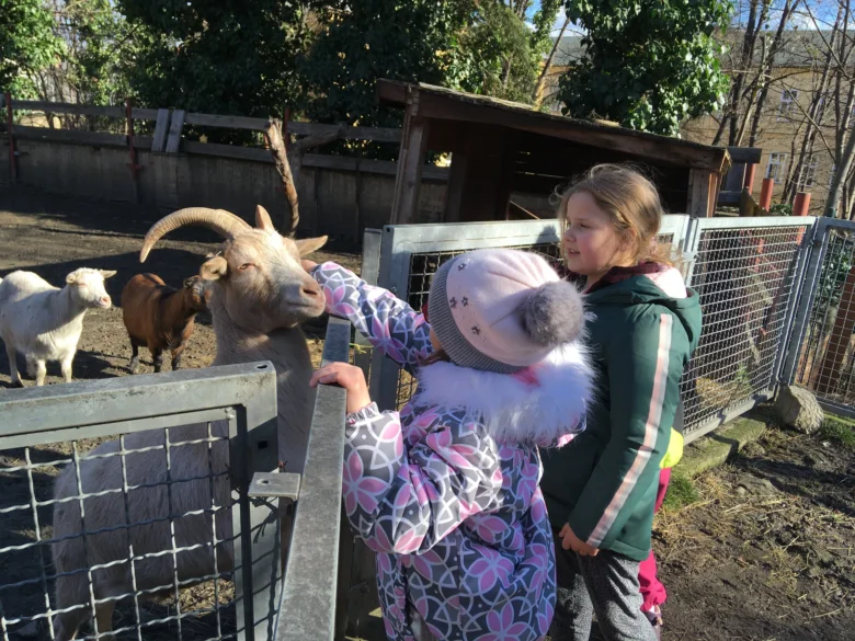 Děti krmit kozu v pražské kontaktní zoo.