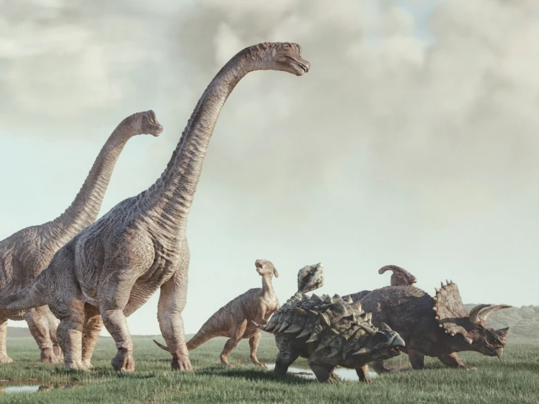 Skupina dinosaurů s dlouhým krkem na travnaté rovině.