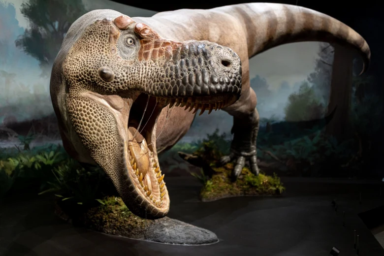 Model dinosaura na výstavě v pražském muzeu s detailním pozadím.