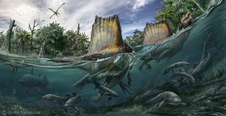 Spinosaurus plavající v řece s ryby ve svém paleontologickém prostředí.