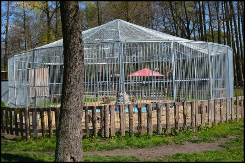 Velká voliéra s ocelovými mřížemi v zoo Doksy mezi stromy.