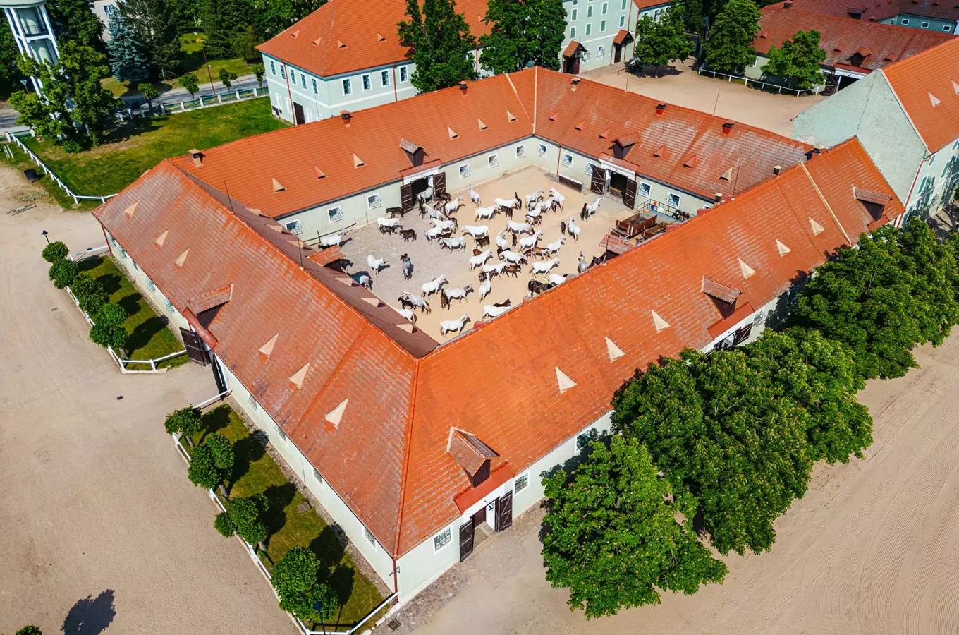 Vzdušný pohled na hřebčín s kladruby v dvorech.