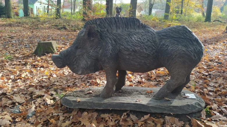 Socha divokého prasete v zimním prostředí na území Ždírecké zoologické zahrady.