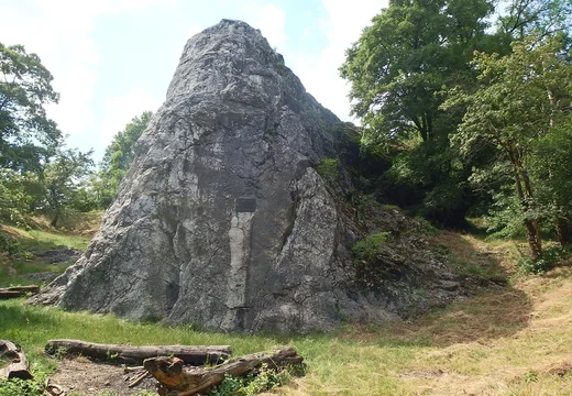 Velká skála v lesní přírodě s trávníkem kolem.