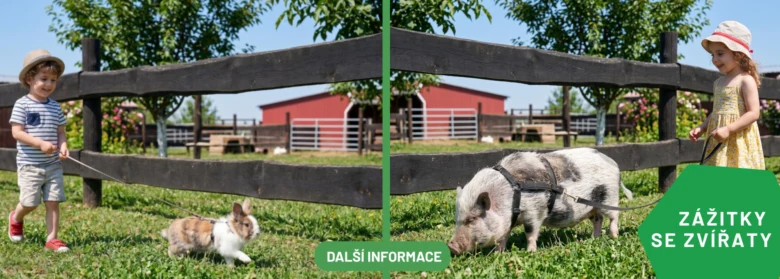 Děti vedou prasátko a králíka na vodítku v kontaktní zoologické zahradě.