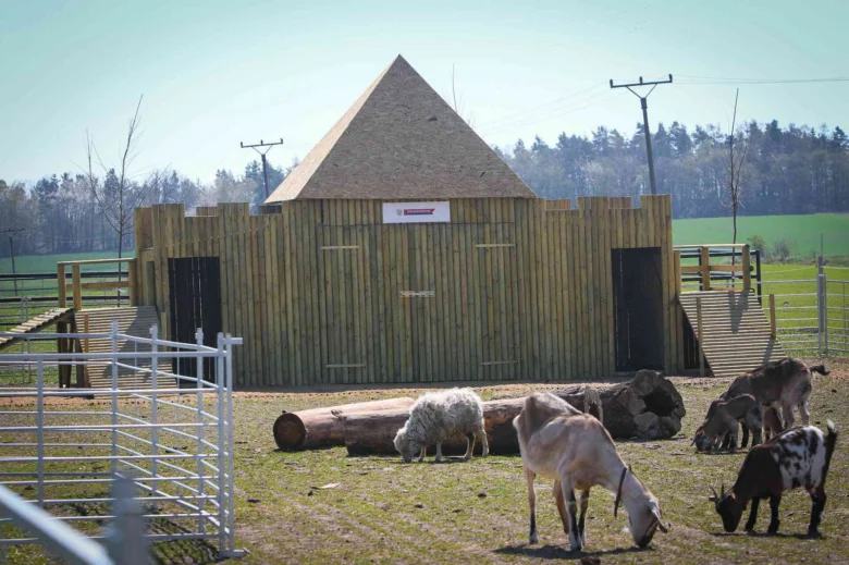 Kozy a ovce v areálu zooparku ve Středočeském kraji
