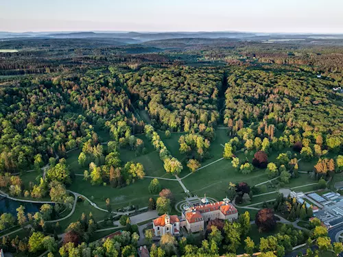 Lány hunting forest landscape
